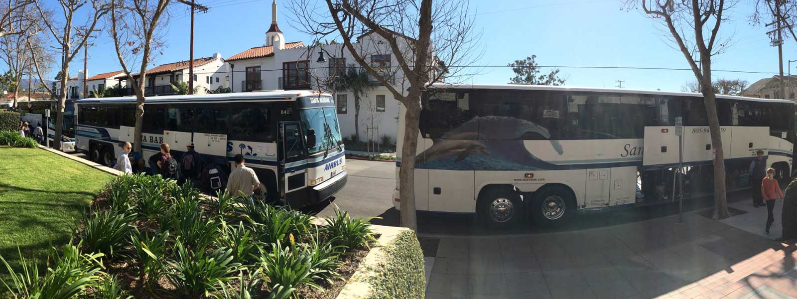 The Santa Barbara Airbus fleet of private tour coaches waiting for passengers to board.